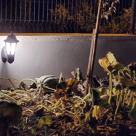 Turizm Amacli Kiralik Konut * Kabakli